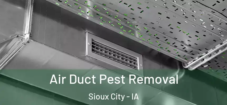  Air Duct Pest Removal Sioux City - IA