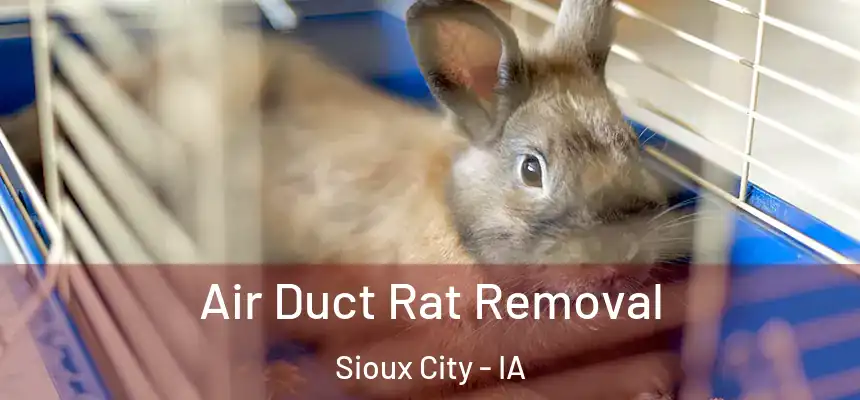  Air Duct Rat Removal Sioux City - IA