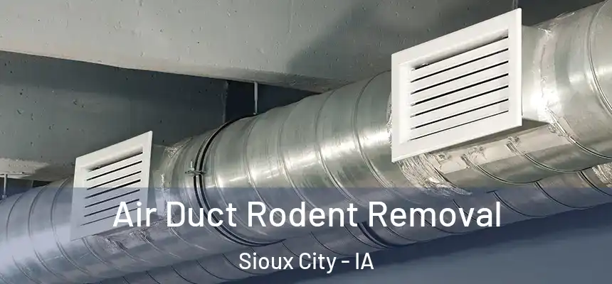  Air Duct Rodent Removal Sioux City - IA