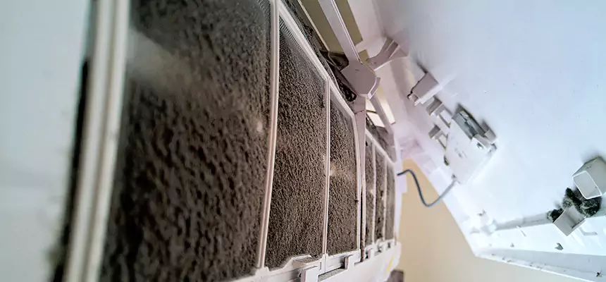 Preventive Air Duct Bacteria Removal in Sioux City