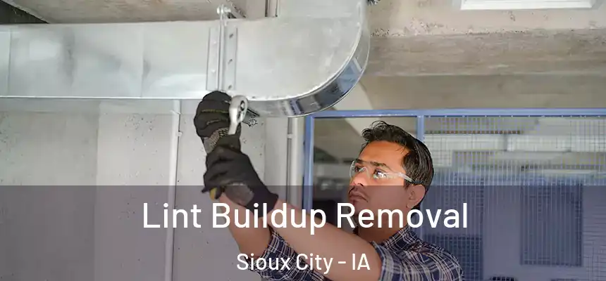  Lint Buildup Removal Sioux City - IA
