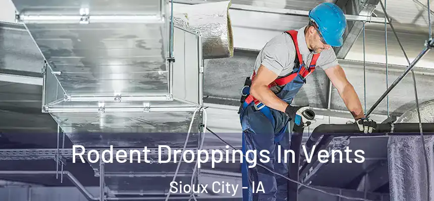  Rodent Droppings In Vents Sioux City - IA