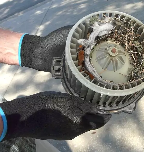 About Air Duct Mice Removal in Sioux City, IA