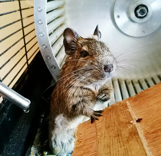 Why Homeowners & Businesses Trust Us Sioux City, IA?